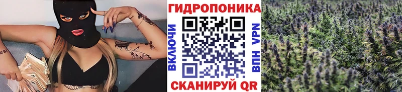 Купить закладку Оренбург hydra как зайти  Codein  Меф  Бошки Шишки 