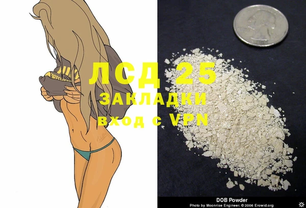 спиды Магас