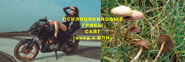 марки nbome Магадан